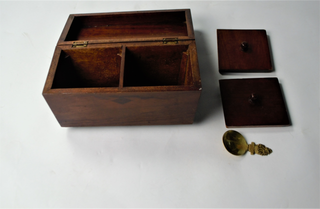 19th Century Tea Caddy with Tea Caddy Spoon
