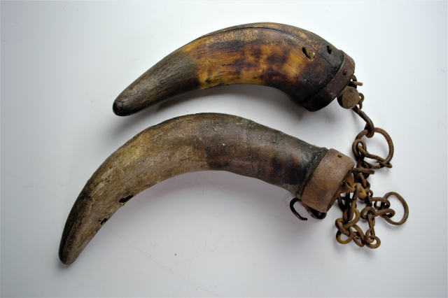 Discover our collection of 19th Century American buffalo horns, unique with axel grease history. One missing stopper. Explore now!