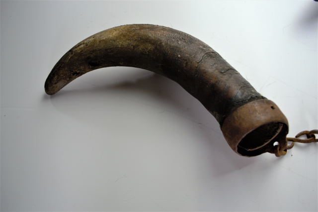 Discover our collection of 19th Century American buffalo horns, unique with axel grease history. One missing stopper. Explore now!