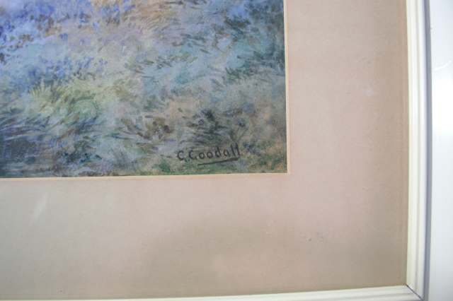 Откройте для себя нашу уникальную коллекцию акварельных картин G. Goodall. Качественные произведения, каждое из которых подписано и имеет размер 59x44 см. Присмотритесь прямо сейчас и пополните свою коллекцию!