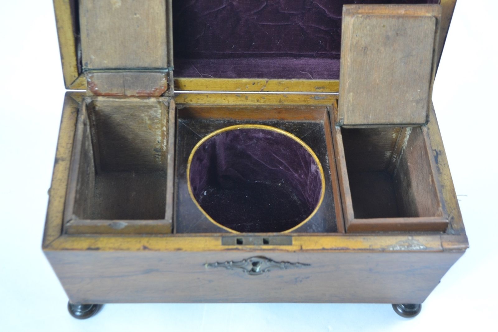 19th century rosewood tea caddy, of sarcophagus form 