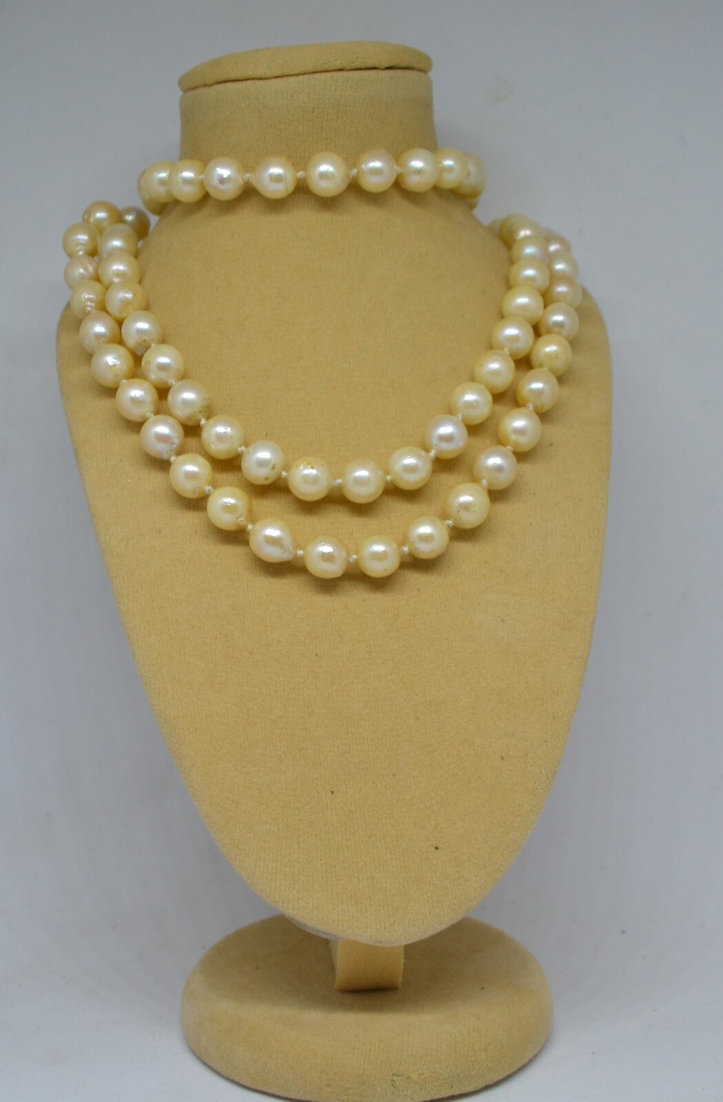 A 19th c. Set Of Pompadour Pearls With Yellow Metal And Garnet Clasp.