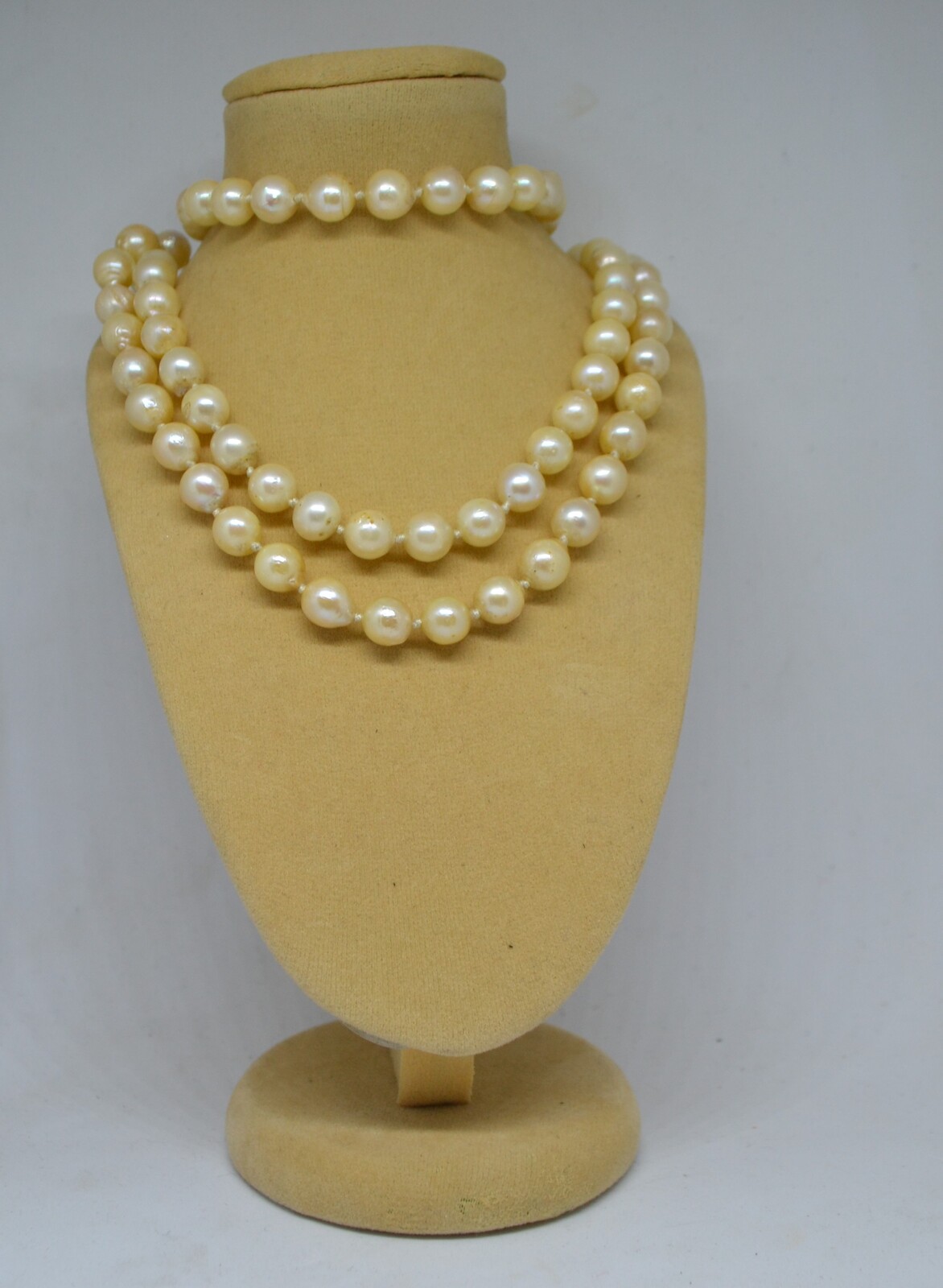 A 19th c. Set Of Pompadour Pearls With Yellow Metal And Garnet Clasp.