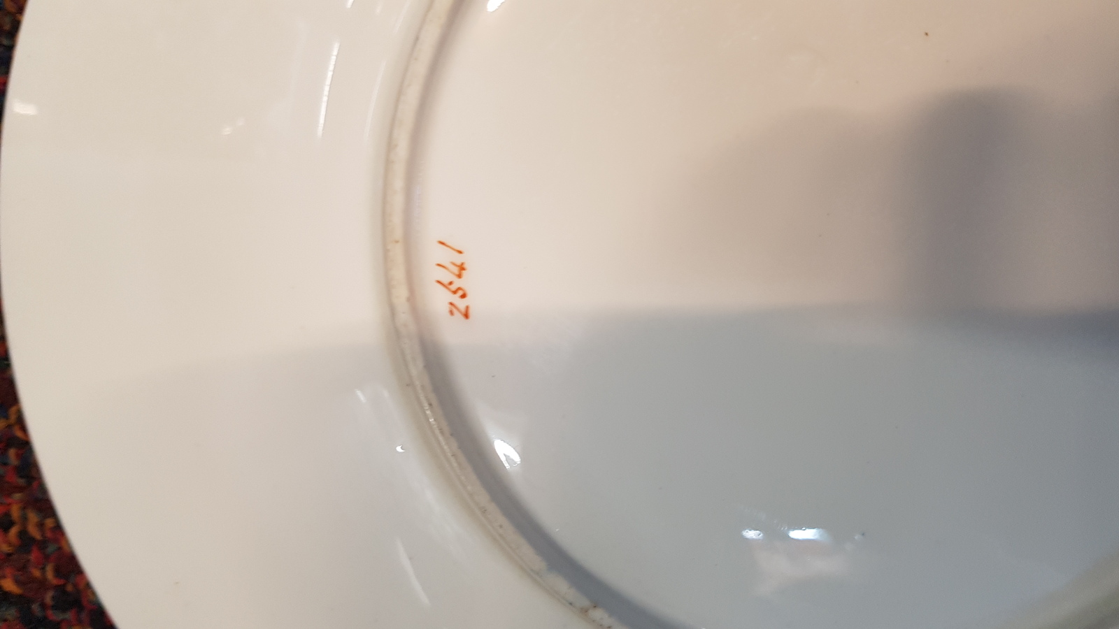 Discover stunning 19th century Grainger's Worcester plates, hand-painted with wild flowers. Size 24cm, pattern no. 2541. Excellent condition! Shop now.