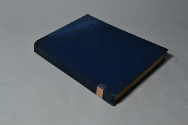 Discover the world's greatest paintings on our platform, your ultimate art guide! Dive deep into history, specifications, and meanings. Start your artistic journey now.