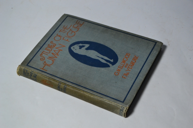 Improve your drawings with our Human Figure Studies course. Master proportions, posture and more with expert guidance. Start your artistic journey today!