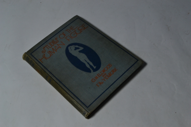 Improve your drawings with our Human Figure Studies course. Master proportions, posture and more with expert guidance. Start your artistic journey today!