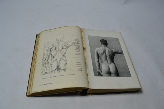 Dive into the world of art with Anatomy for Art Students by Arthur Thompson. Sharpen your skills, learn body proportions and enhance your drawings today!