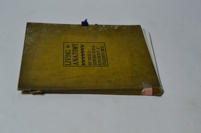 Dive into the world of human biology with the Living Anatomy book by Burns RBA 1900 and Colenso MD. Shop now, explore the intricacies of human anatomy in detail.