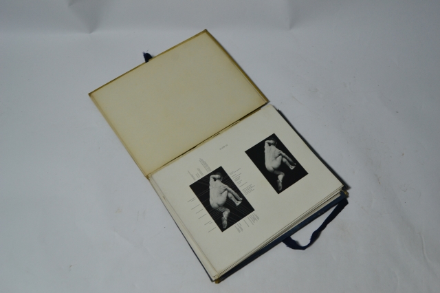 Dive into the world of human biology with the Living Anatomy book by Burns RBA 1900 and Colenso MD. Shop now, explore the intricacies of human anatomy in detail.