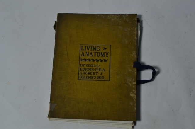 Dive into the world of human biology with the Living Anatomy book by Burns RBA 1900 and Colenso MD. Shop now, explore the intricacies of human anatomy in detail.