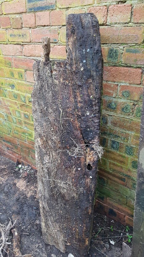 Large 17th C. Oak Beam