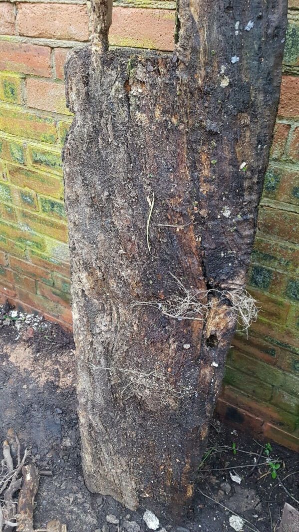Large 17th C. Oak Beam